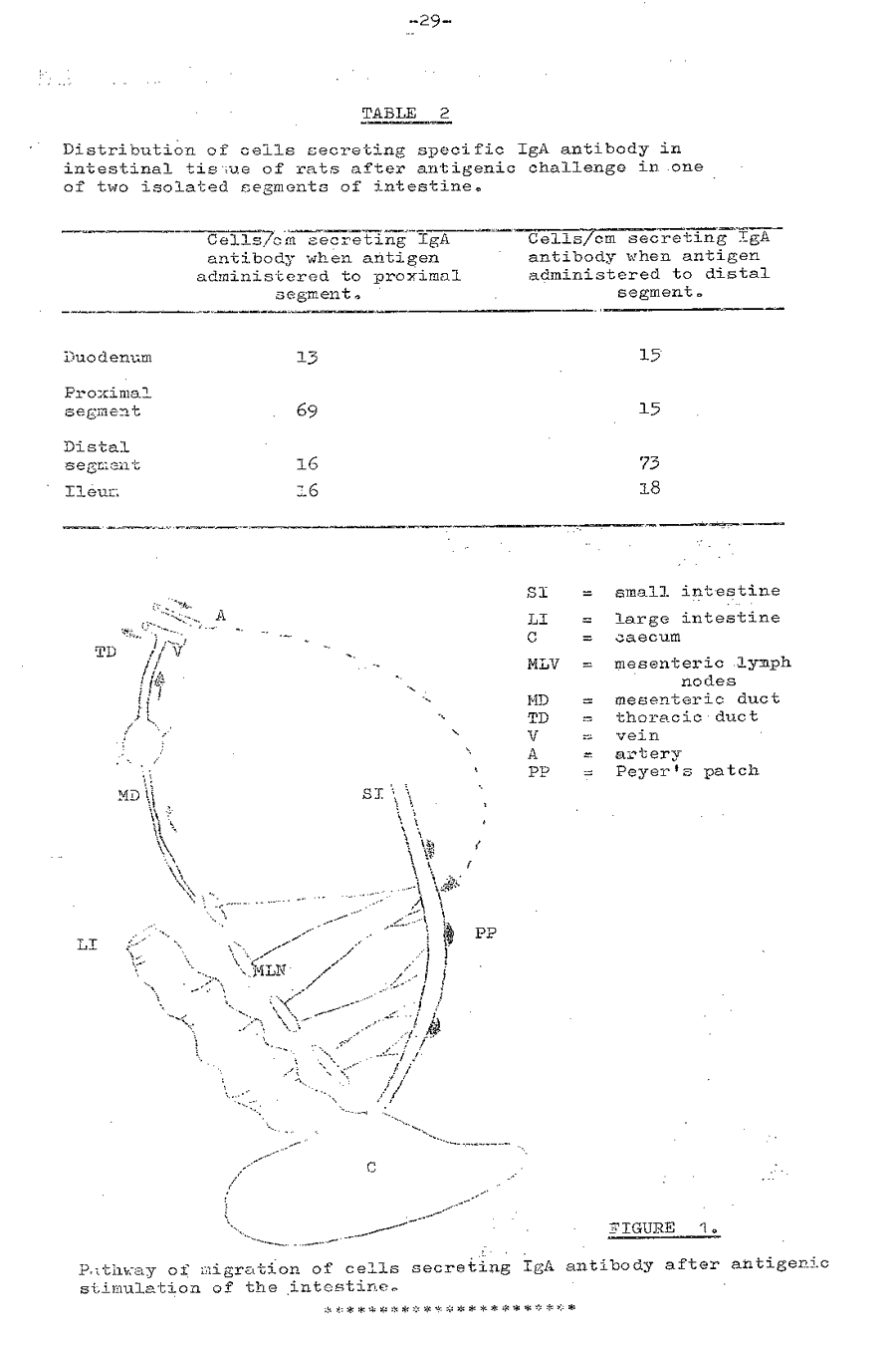 1977 page 29